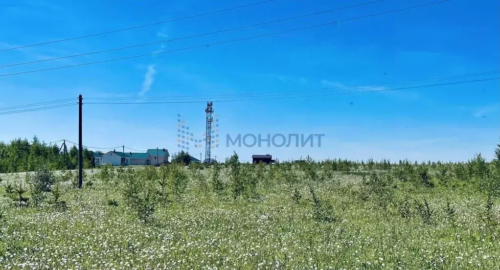 Участок в Нижегородская область, Богородский муниципальный округ, д. ... - Фото 0