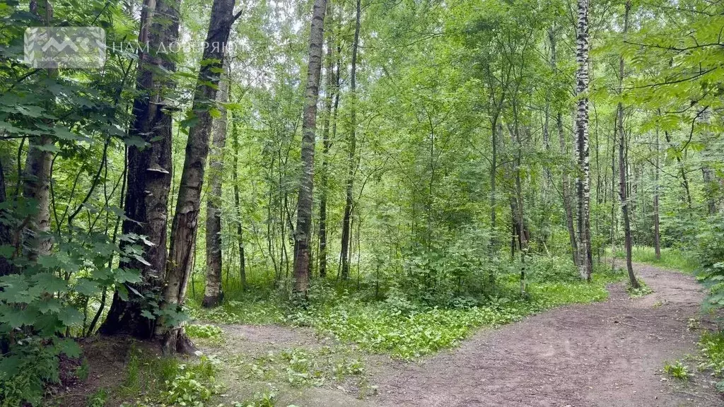 Участок в Санкт-Петербург 2-й Озерковский пер. (9.31 сот.) - Фото 2