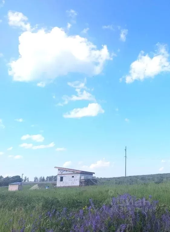 Участок в Пензенская область, Мокшанский район, Рамзайский сельсовет, ... - Фото 2