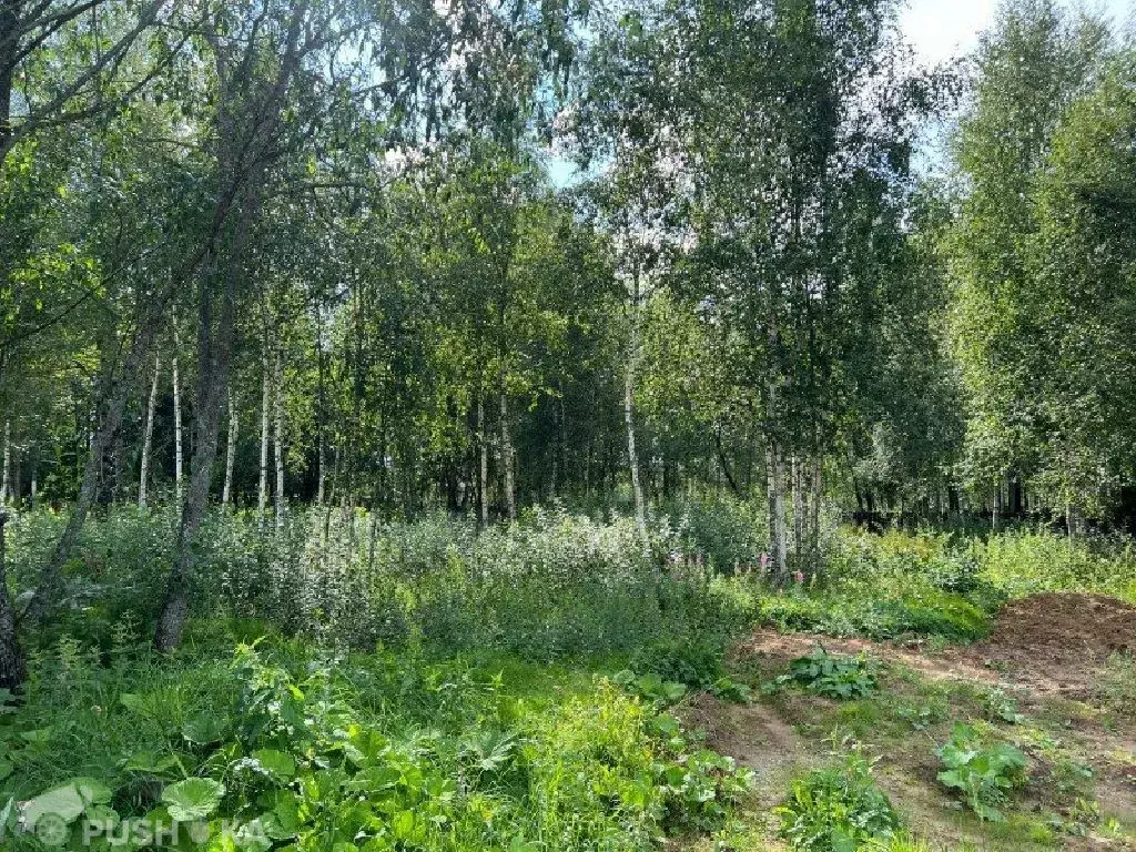 Продается участок в д. Новорождествено - Фото 1