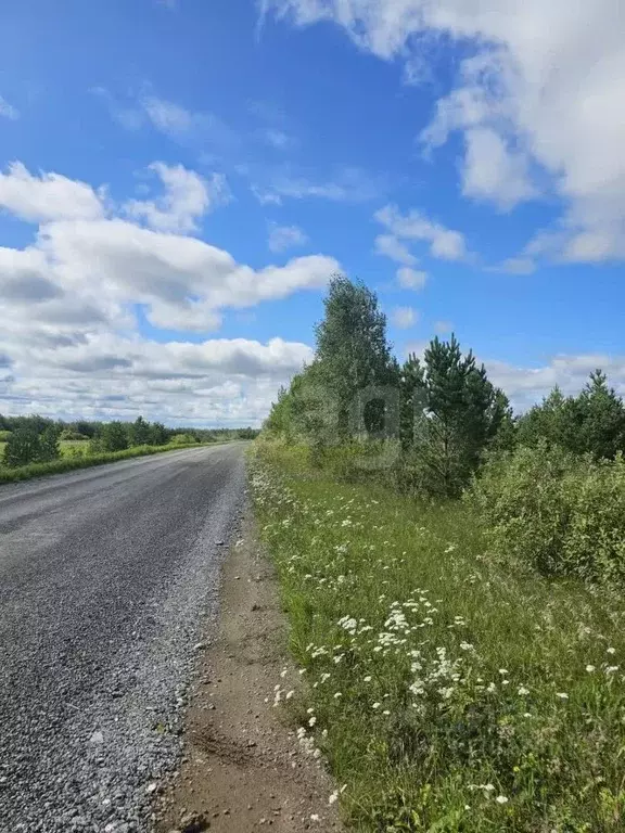 Участок в Тюменская область, Тюменский район, с. Салаирка  (12.0 сот.) - Фото 0