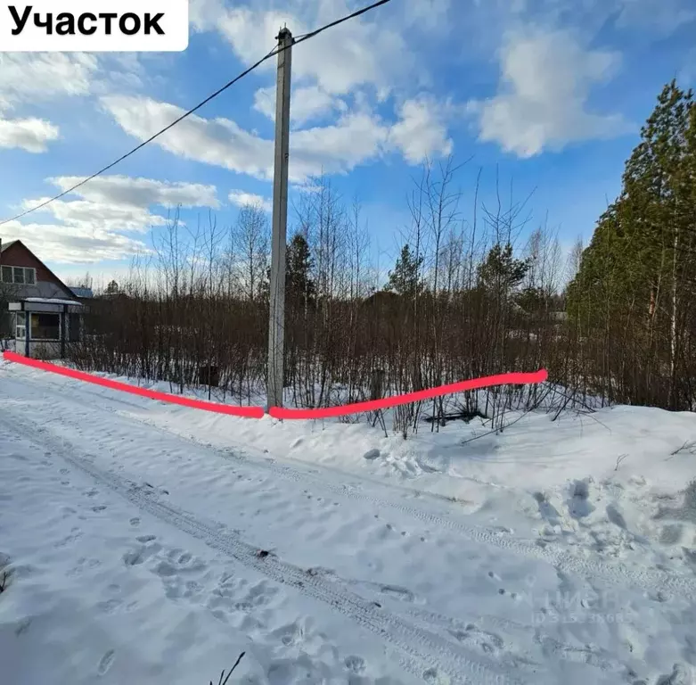 Участок в Свердловская область, Екатеринбург Монолит СНТ, 168 (9.0 ... - Фото 0