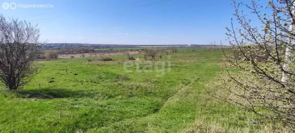 Участок в Воронеж, микрорайон Первое Мая, Центральная улица (15 м) - Фото 1