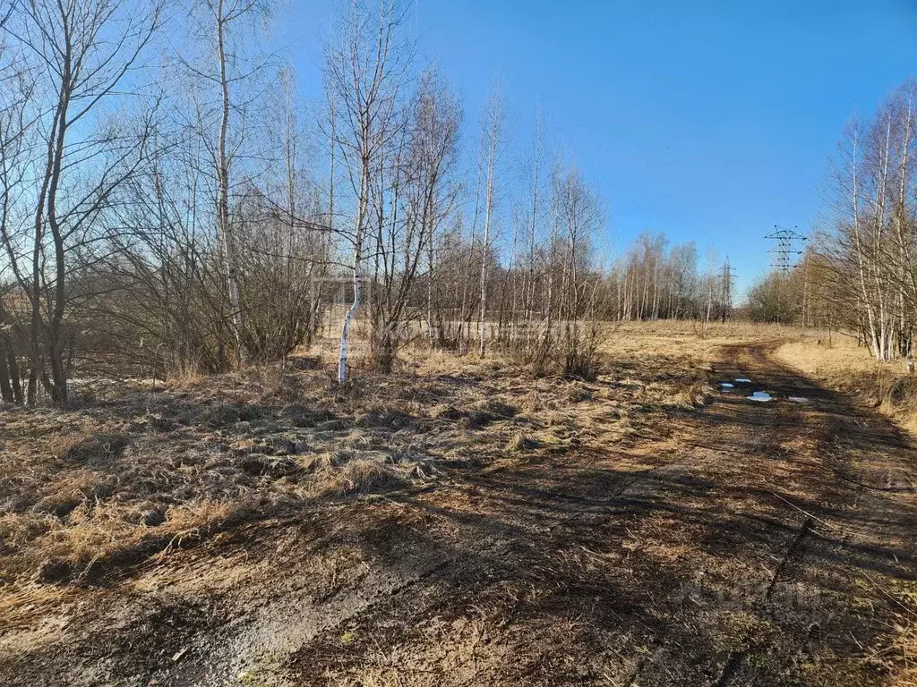 Участок в Владимирская область, Собинский муниципальный округ, д. ... - Фото 2