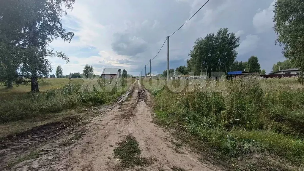 Участок в Новосибирская область, Новосибирский район, Морской ... - Фото 0