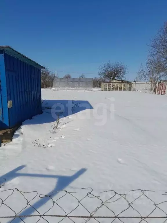 Участок в Брянская область, Брянск Надежда садоводческое товарищество, ... - Фото 2