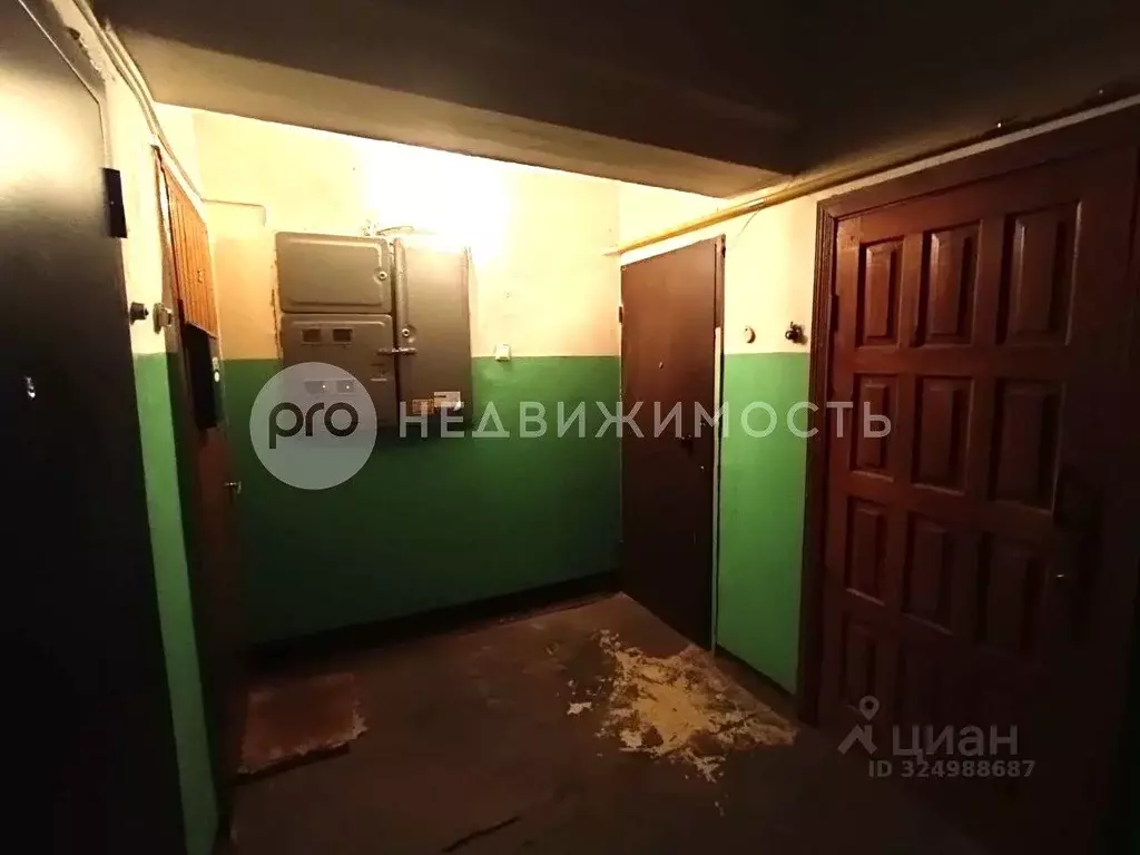 1-к кв. Рязанская область, Рыбное Большая ул., 35 (31.6 м) - Фото 2