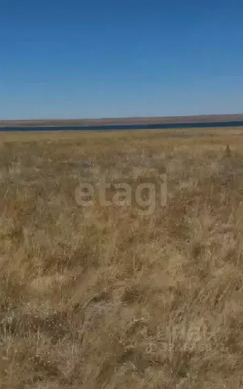 Участок в Крым, Сакский район, Штормовское с/пос, Новоозерный СНТ  ... - Фото 1