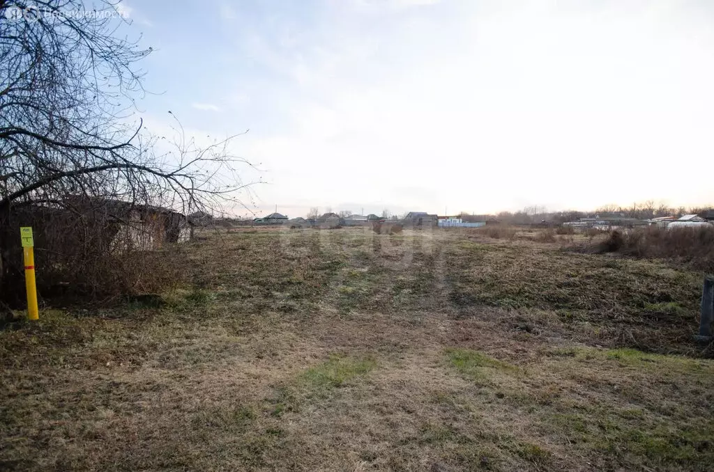 Участок в Тюменская область, Заводоуковский муниципальный округ, село ... - Фото 2