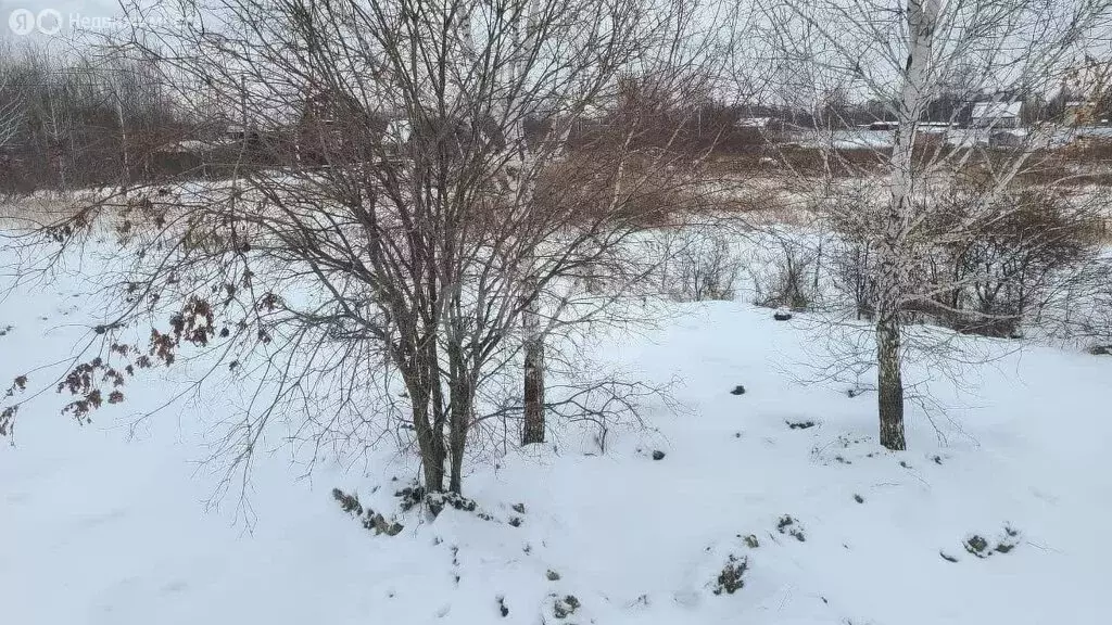 Участок в Тюмень, садовое товарищество Поле Чудес, Западная улица ... - Фото 2