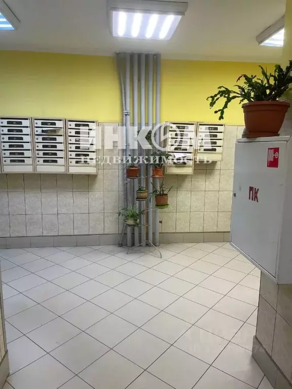 4-к кв. Москва ул. Островитянова, 53 (136.0 м) - Фото 2