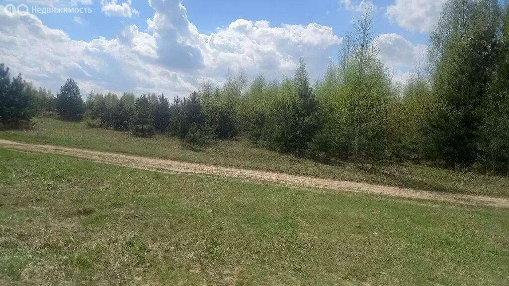 Участок в Московская область, городской округ Воскресенск, деревня ... - Фото 2