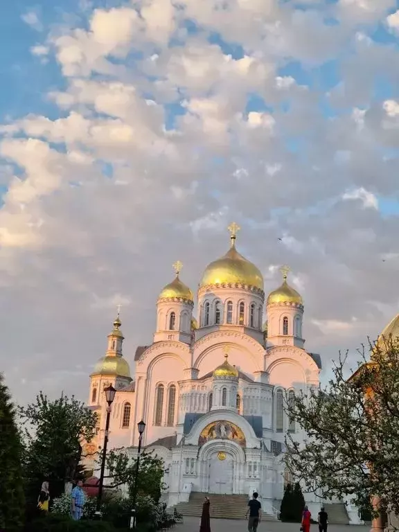 Комната Нижегородская область, с. Дивеево ул. Покровская, 22 - Фото 0