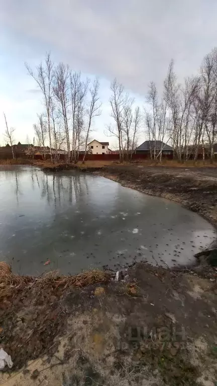 Участок в Курганская область, Кетовский муниципальный округ, Березовая ... - Фото 1