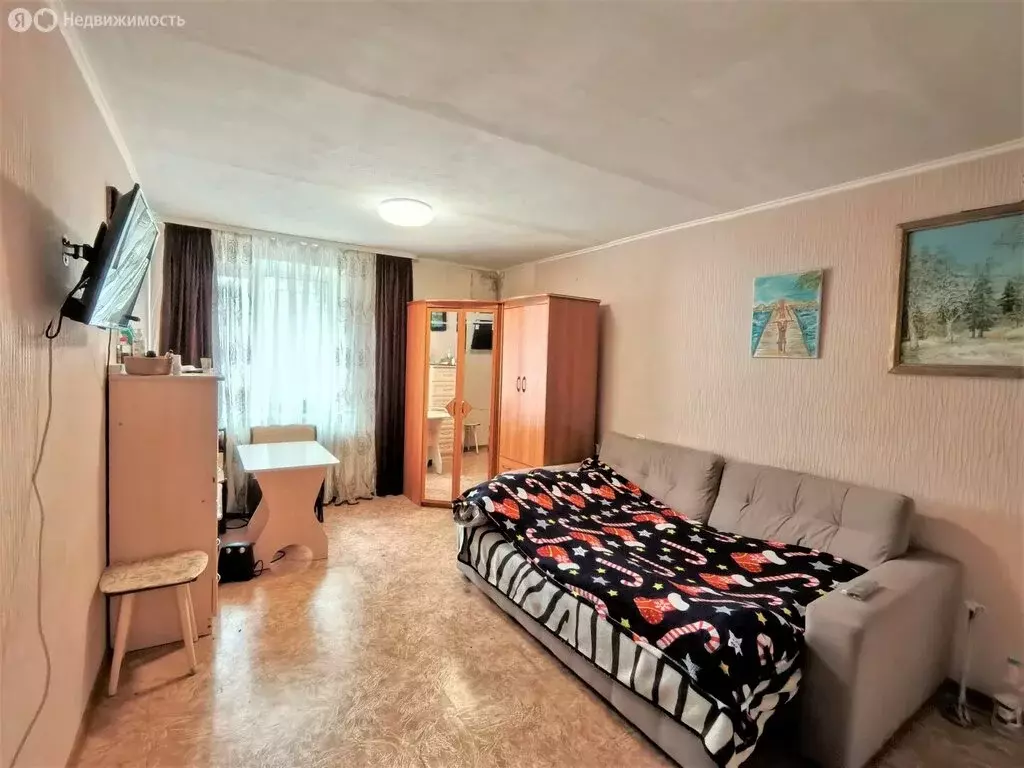 Квартира-студия: Пермь, проспект Декабристов, 41/1 (25 м) - Фото 1