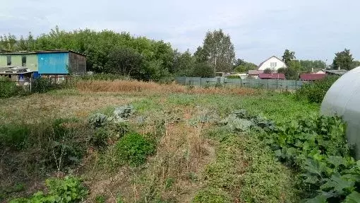 Дом в Свердловская область, Березовский ул. Свободы, 102 (48 м) - Фото 2