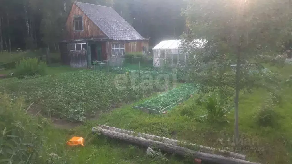 Участок в Томская область, Томский район, д. Кисловка, Огонек садовое ... - Фото 1