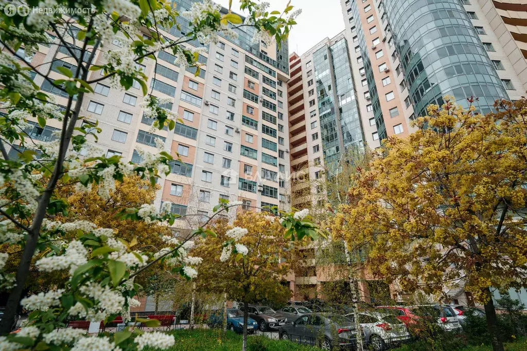 1-комнатная квартира: Санкт-Петербург, проспект Космонавтов, 65к2 ... - Фото 0