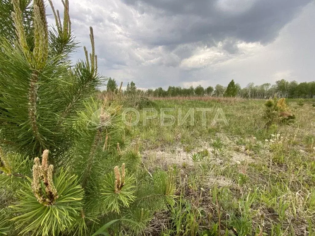 Участок в Тюменская область, Тюменский район, с. Каменка  (12.7 сот.) - Фото 1