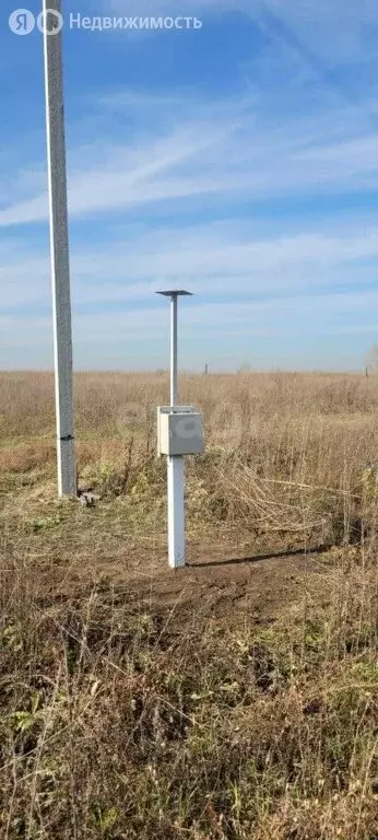 Участок в Колыванский район, СНТ Большая Семья (10 м) - Фото 0