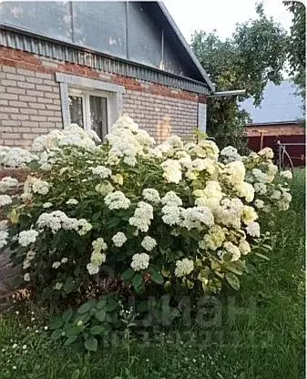 Дом в Московская область, Серебряные Пруды пгт  (71 м) - Фото 1