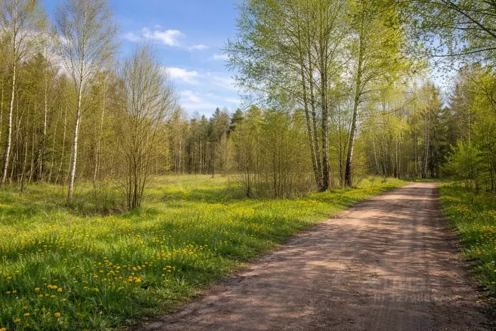 Участок в Псковская область, Псковский район, Ядровская волость, д. ... - Фото 2