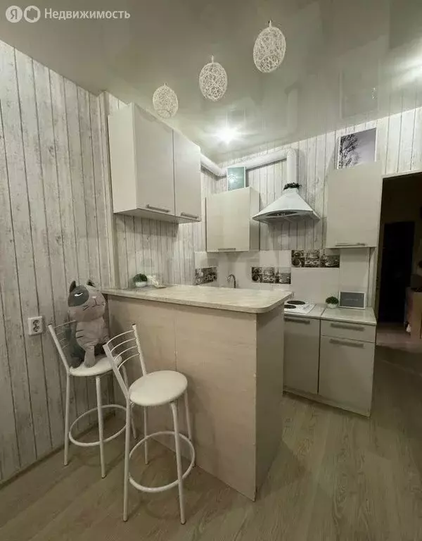 Квартира-студия: Воронеж, Ракетный переулок, 2 (24 м) - Фото 1