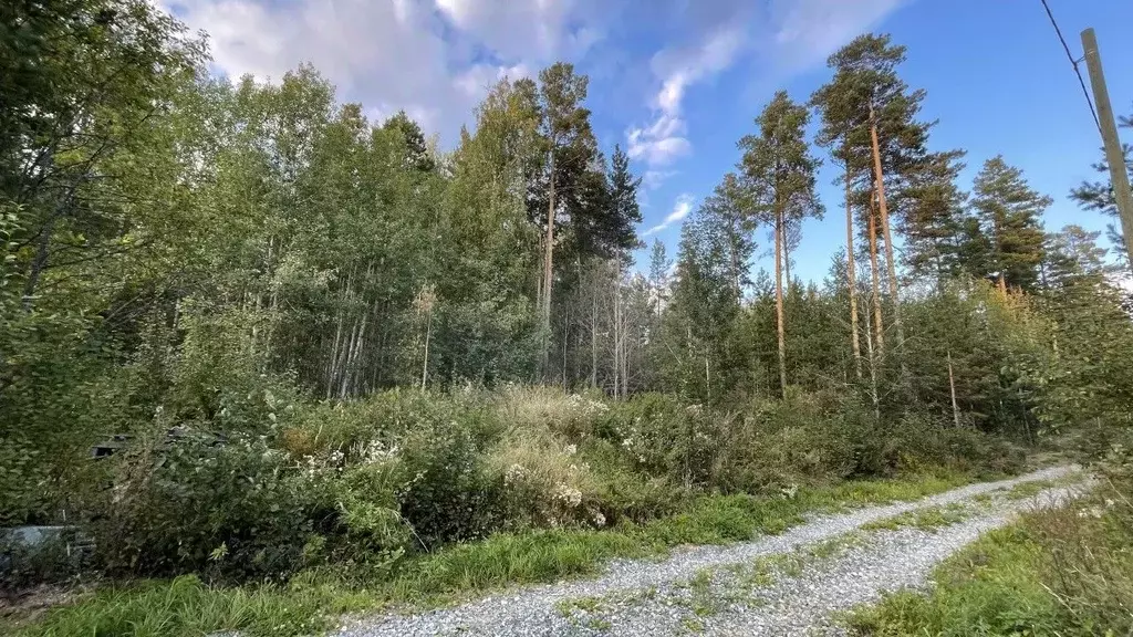 Участок в Свердловская область, Асбестовский городской округ, пос. ... - Фото 0