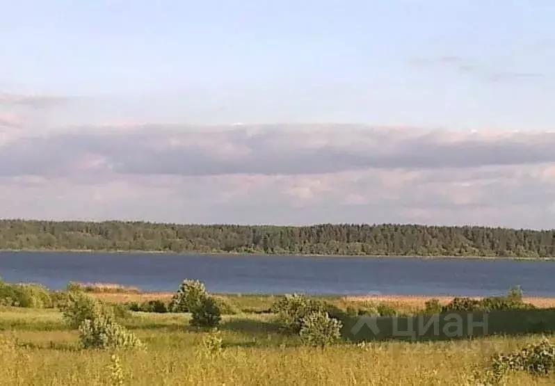 Участок в Псковская область, Пушкиногорский район, Велейская волость, ... - Фото 1