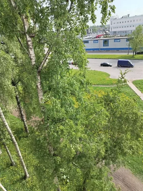 1-к кв. Санкт-Петербург просп. Большевиков, 73К1 (30.0 м) - Фото 1