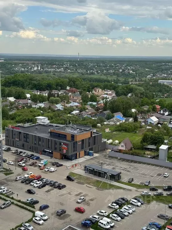 1-к кв. Нижегородская область, Нижний Новгород д. Анкудиновка, ул. ... - Фото 2