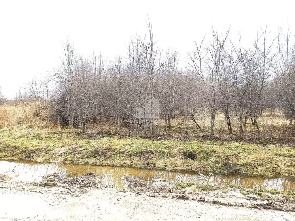 Участок в Калининградская область, Калининград Чайка СНТ, проезд ... - Фото 2