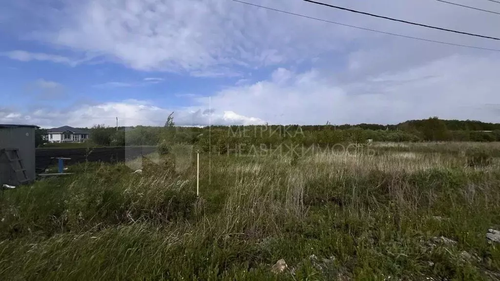 Участок в Тюменская область, Тюменский район, д. Елань 14 (16.0 сот.) - Фото 0