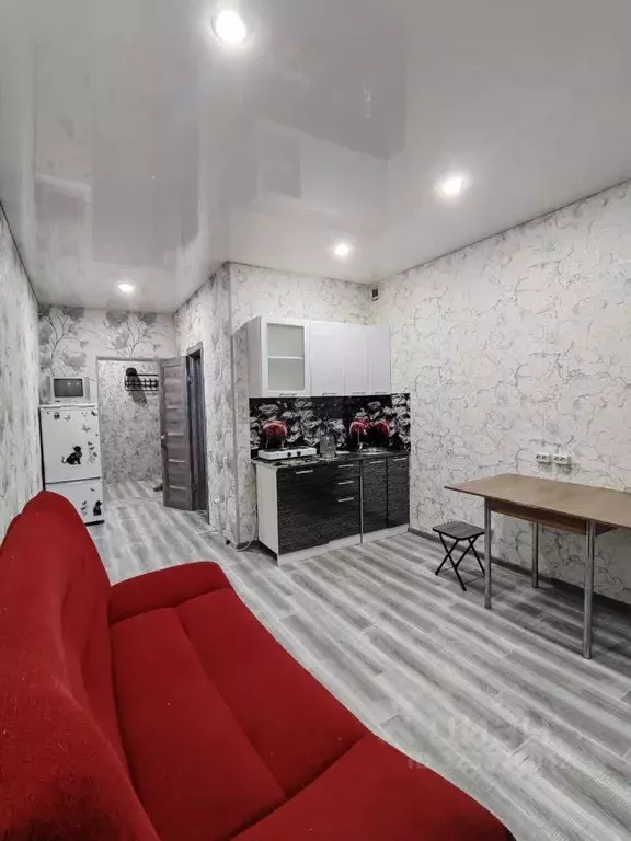 Студия Хакасия, Абакан ул. Некрасова, 45 (32.0 м) - Фото 2