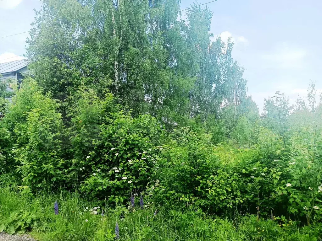 Участок 8,6 сот. (ИЖС) - Фото 1