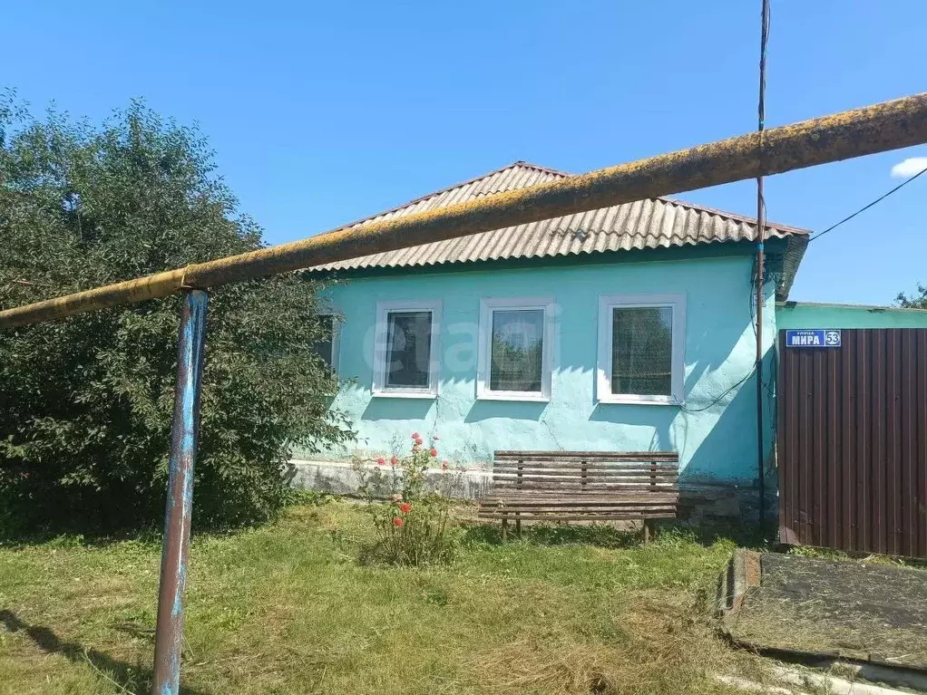 Дом в Белгородская область, Губкинский городской округ, Калинин хут. ... - Фото 0