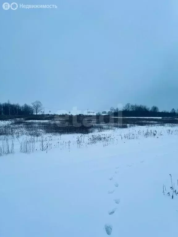 Участок в Калининградская область, Гвардейский муниципальный округ, ... - Фото 2