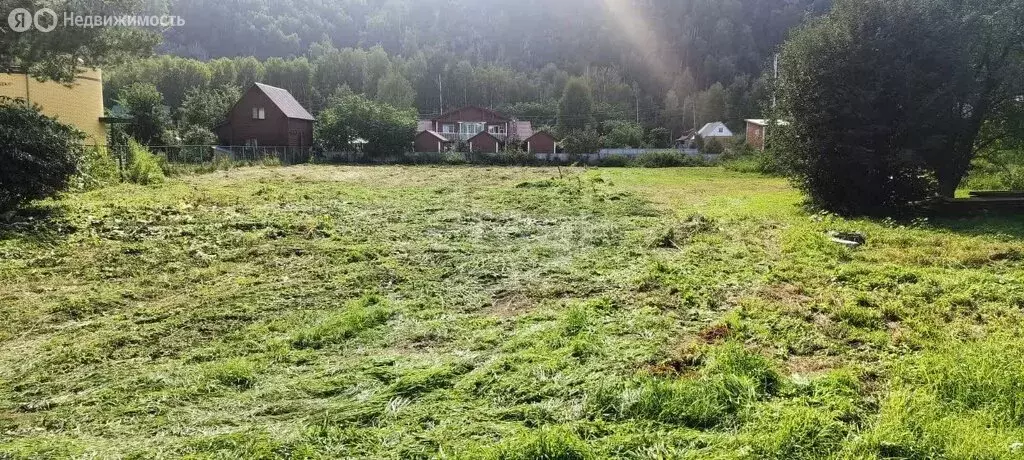 Участок в Алтайский район, село Ая (20 м) - Фото 1