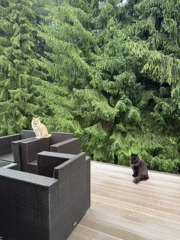 Коттедж в Кировская область, Слободской район, Бобинское с/пос, д. ... - Фото 1