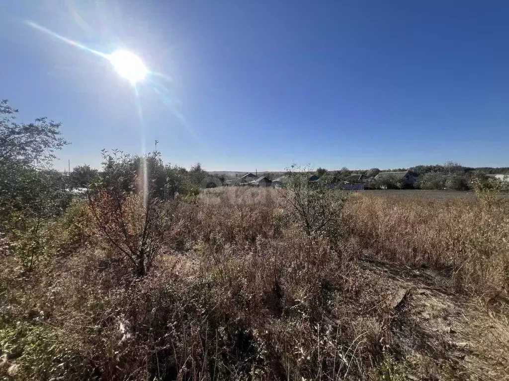 Участок в Воронежская область, Калачеевский район, Краснобратское ... - Фото 1