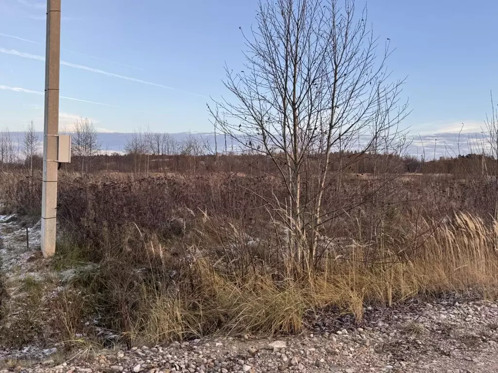 Участок в Тверская область, Калининский муниципальный округ, д. ... - Фото 1