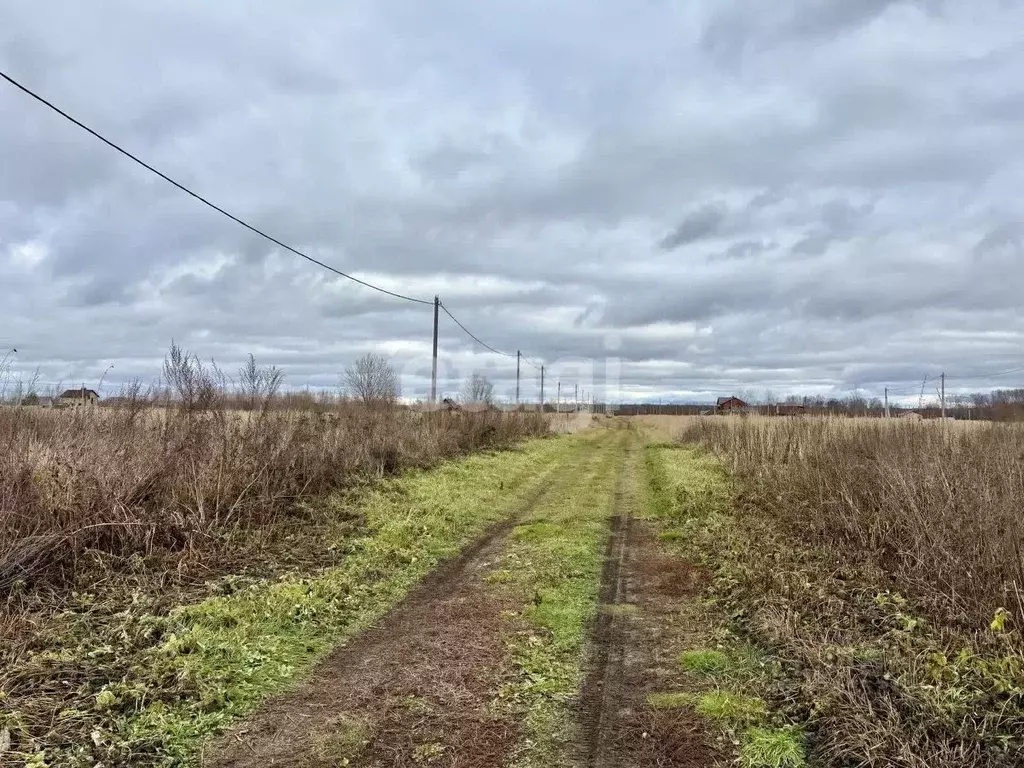 Участок в Марий Эл, Йошкар-Ола городской округ, д. Шоя-Кузнецово ул. ... - Фото 2
