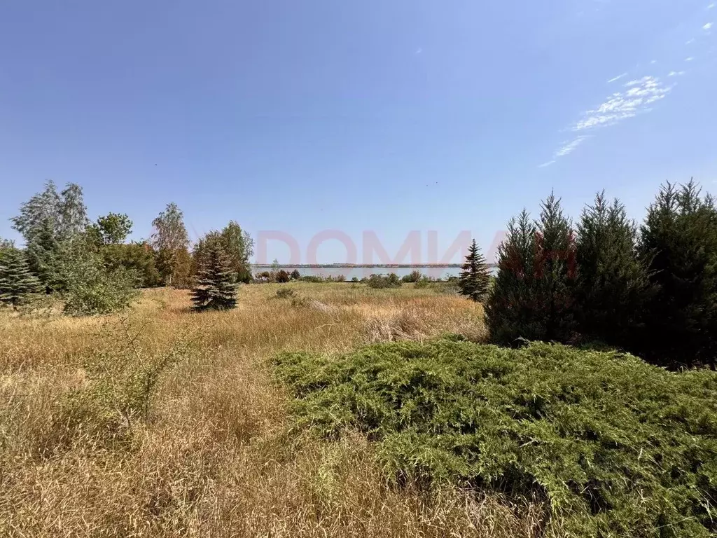 Участок в Ростовская область, Неклиновский район, Носовское с/пос, ... - Фото 2