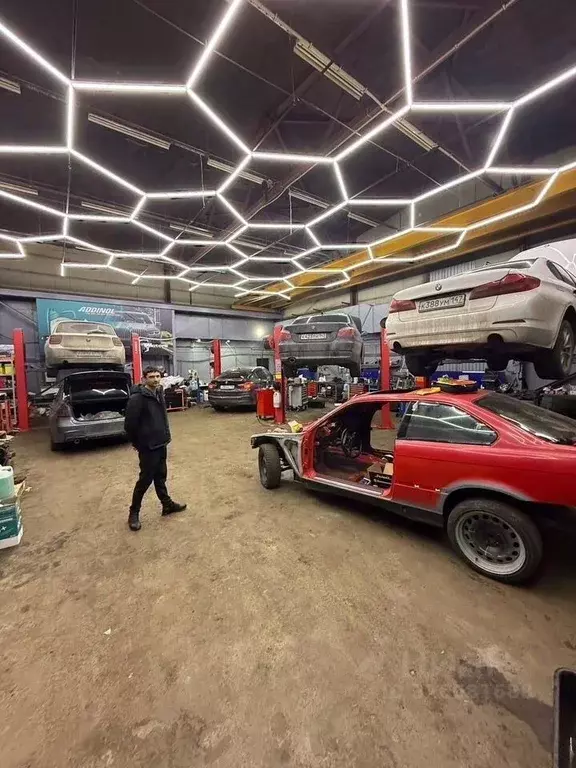 Помещение свободного назначения в Санкт-Петербург Ириновский просп., ... - Фото 1