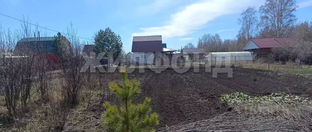 Участок в Новосибирская область, Новосибирский район, Толмачевский ... - Фото 1