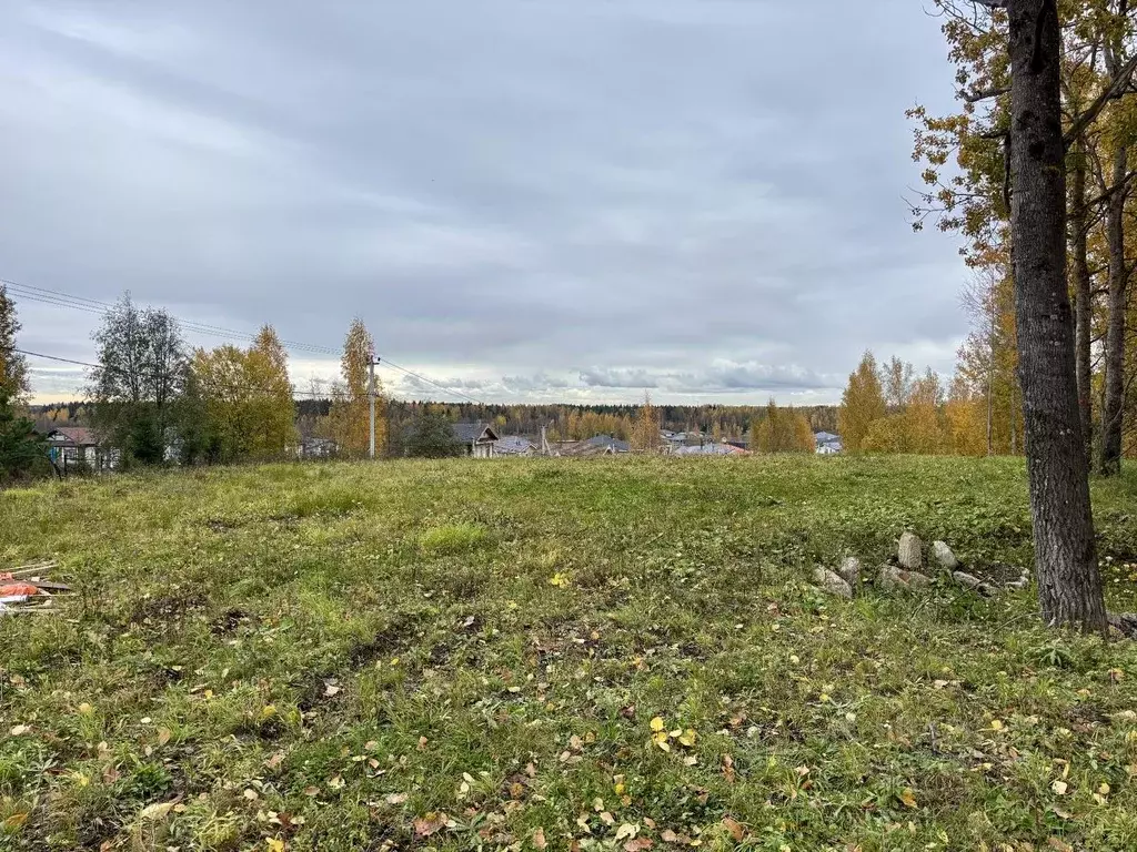 Участок в Ленинградская область, Всеволожский район, Агалатовское ... - Фото 0