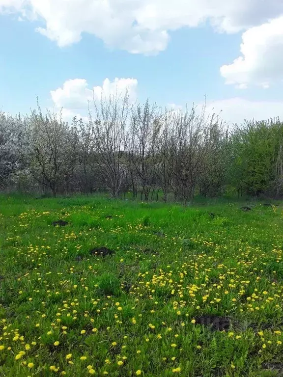 Участок в Белгородская область, Белгородский район, Дубовское с/пос, ... - Фото 1