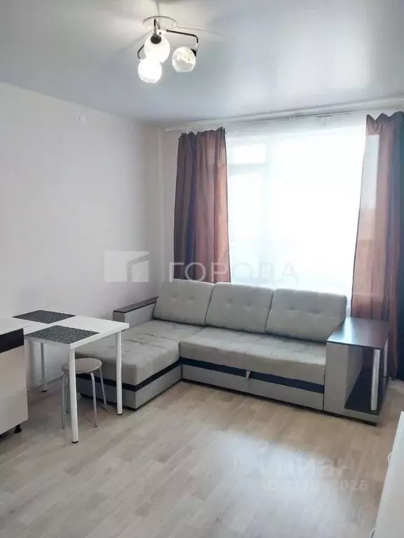 1-к кв. Новосибирская область, Новосибирск ул. Бородина, 56 (25.0 м) - Фото 0