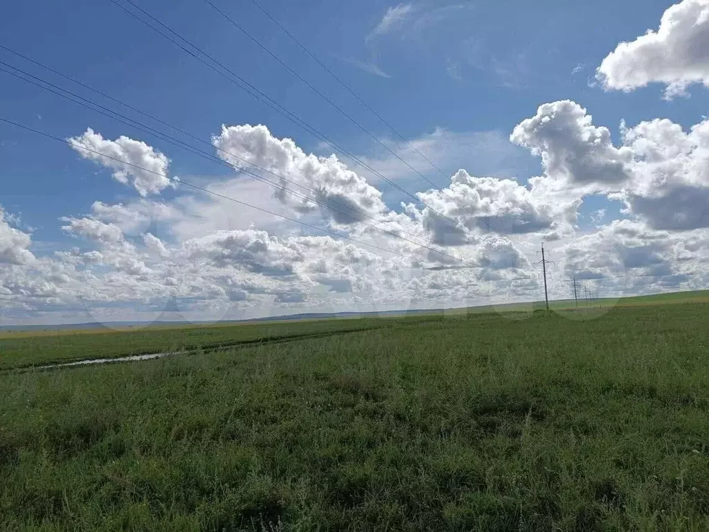 Участок 79,7 га (личное подсобное хозяйство (лпх)) - Фото 1