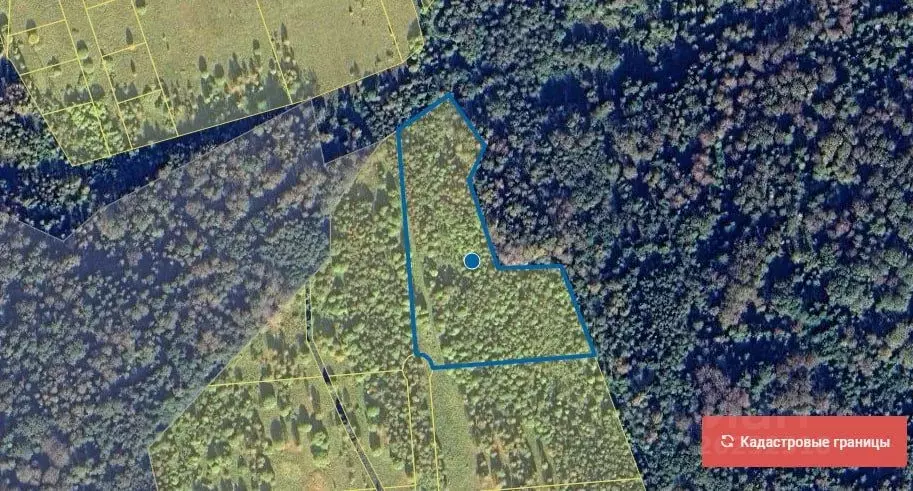 Участок в Тверская область, Ржевский муниципальный округ, д. Юсино  ... - Фото 1